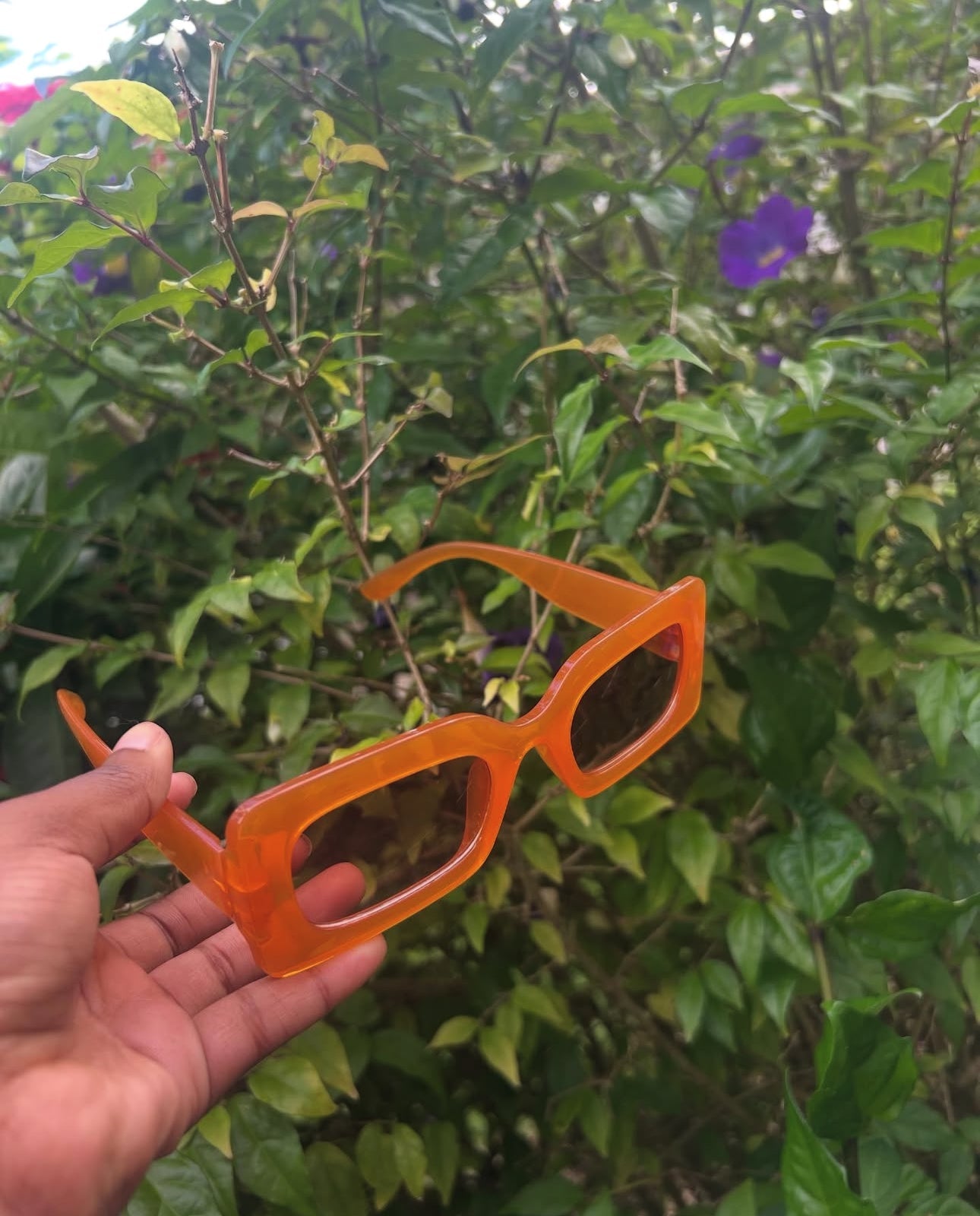 Sunglasses