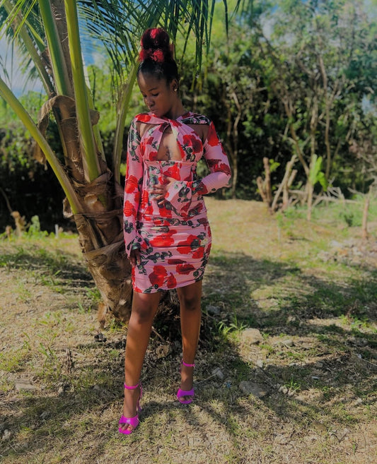 Floral Print Ruffle Long Sleeve Mini Dress